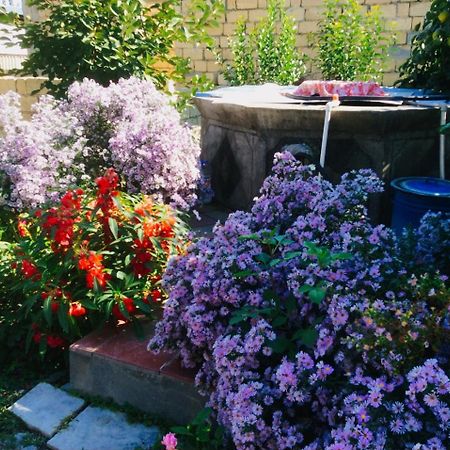 House On Ashiq Cuma Street 8 Bed and Breakfast Şǝki Buitenkant foto