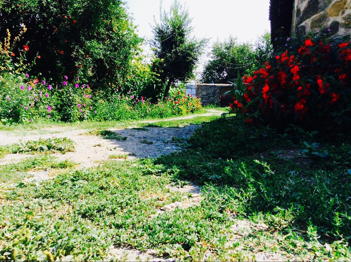 House On Ashiq Cuma Street 8 Bed and Breakfast Şǝki Buitenkant foto