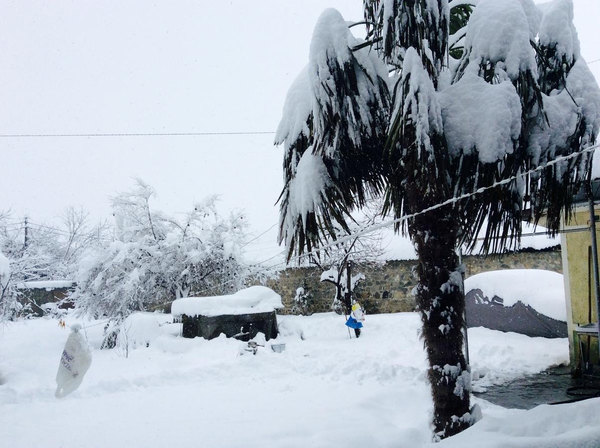 House On Ashiq Cuma Street 8 Bed and Breakfast Şǝki Buitenkant foto