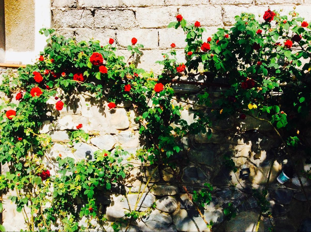 House On Ashiq Cuma Street 8 Bed and Breakfast Şǝki Buitenkant foto