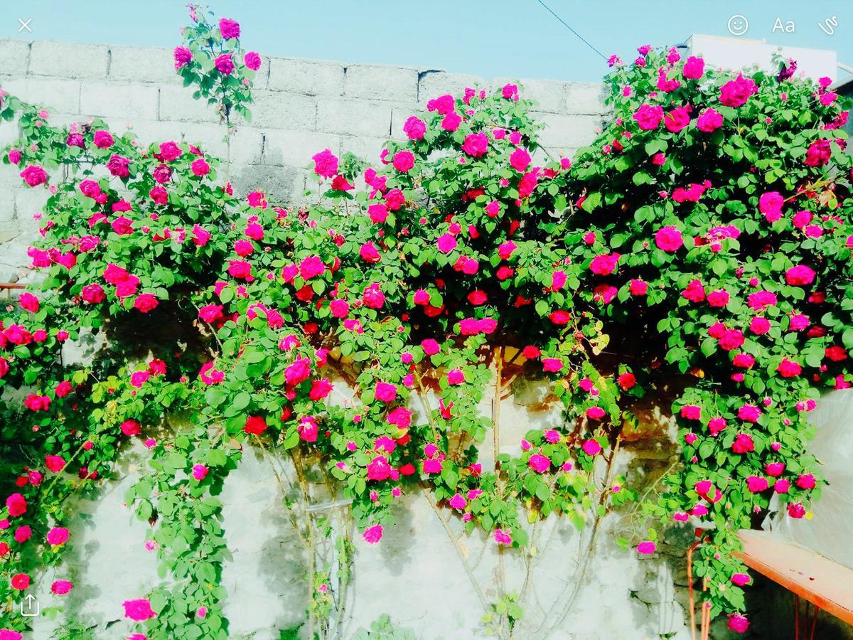House On Ashiq Cuma Street 8 Bed and Breakfast Şǝki Buitenkant foto