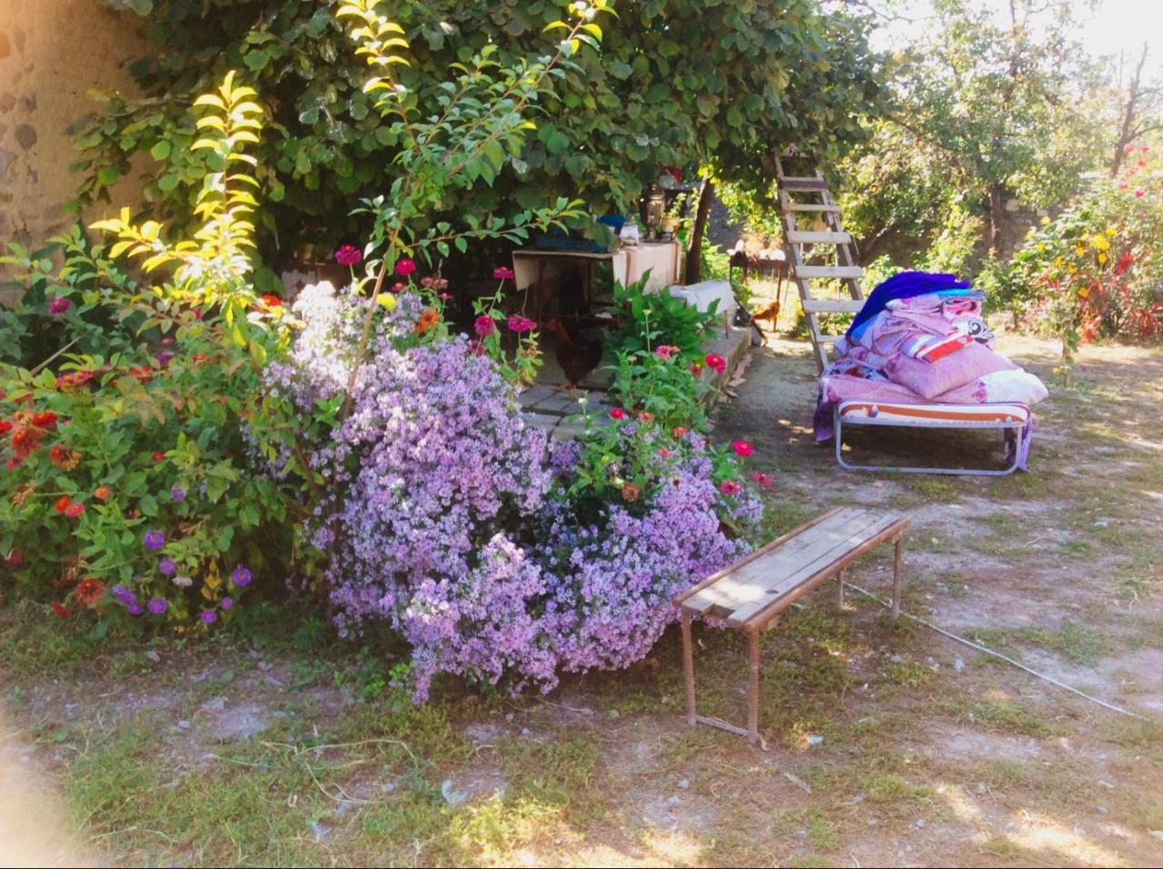 House On Ashiq Cuma Street 8 Bed and Breakfast Şǝki Buitenkant foto