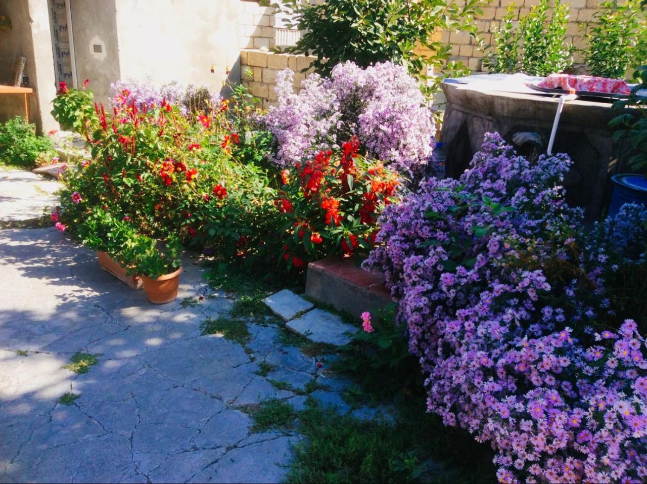 House On Ashiq Cuma Street 8 Bed and Breakfast Şǝki Buitenkant foto